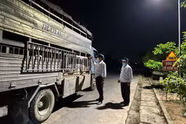 Gia Lai: Kiểm soát giết mổ, đảm bảo thịt heo sạch đến tay người tiêu dùng