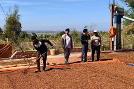 Ðak Ðoa đẩy mạnh liên kết sản xuất, nâng cao giá trị nông sản