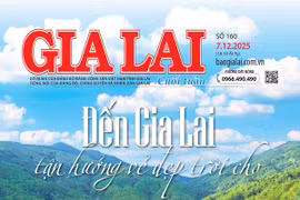 Báo Gia Lai số cuối tuần ngày 7-12-2025