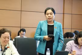 Đại biểu Quốc hội Nguyễn Trần Phượng Trân đề nghị Luật Viên chức (sửa đổi) công nhận viên chức trong cơ quan báo chí. Ảnh: Văn Duẩn