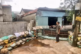 Các hộ dân ở cuối hẻm 280 Trường Chinh (phường Hội Phú) phải dùng bao cát, ván gỗ che chắn trước cửa để chống ngập. Ảnh: L.N