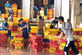 Chuyển đổi nghề, tạo sinh kế bền vững cho ngư dân