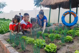 Cô Phạm Thị Thu Hòa hướng dẫn các em học sinh Trường Mẫu giáo Ia Yeng nhổ cỏ và thu hoạch rau tại vườn trường. Ảnh: Vũ Chi