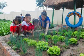 Cô Phạm Thị Thu Hòa hướng dẫn các em học sinh Trường Mẫu giáo Ia Yeng nhổ cỏ và thu hoạch rau tại vườn trường. Ảnh: Vũ Chi