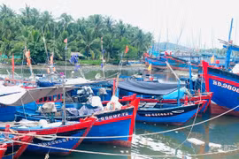 Siết chặt quản lý tàu cá vì mục tiêu gỡ “thẻ vàng”