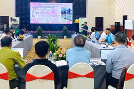 Chủ động tìm hướng thích ứng với EUDR