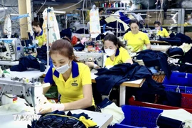 Công nhân may đồng phục xuất khẩu tại Công ty Cổ phần quốc tế Dony. Ảnh: Xuân Anh/TTXVN