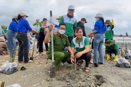 Nối dài những Hành trình xanh