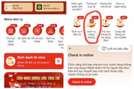 Tính năng mới trên VNeID cho hành khách đi máy bay