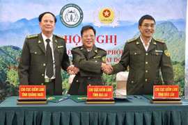 Phối hợp liên vùng: “Chìa khóa” nâng cao hiệu quả bảo vệ rừng