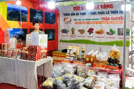 Gia Lai đổi mới hoạt động xúc tiến thương mại, kích cầu tiêu dùng