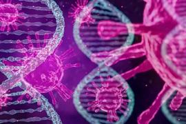 Phát hiện mới về virus bạch cầu mở ra hy vọng điều trị HIV