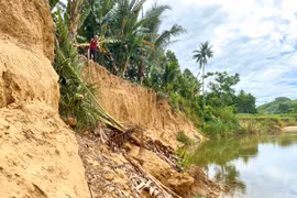 Khu vực bờ sông qua xóm Nhơn An (thôn Nhơn Sơn, xã Kim Sơn) thời gian qua bị sạt lở nghiêm trọng. Ảnh: N.C