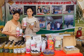 Hợp tác xã An Nhiên (xã Chư Krey) định hướng nâng cao, mở rộng thương hiệu thời gian tới. Ảnh: DNCC