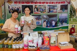 Hợp tác xã An Nhiên (xã Chư Krey) định hướng nâng cao, mở rộng thương hiệu thời gian tới. Ảnh: DNCC