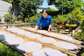 Chị Phan Thị Yến - Bí thư Đoàn xã Tuy Phước Bắc tham gia hoạt động quay video clip, giới thiệu về nghề làm bánh tráng truyền thống ở địa phương. Ảnh: M.N