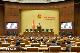 Quang cảnh phiên họp ngày 28/11. Ảnh: Doãn Tấn/TTXVN