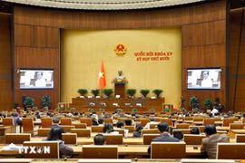 Quang cảnh phiên họp ngày 28/11. Ảnh: Doãn Tấn/TTXVN