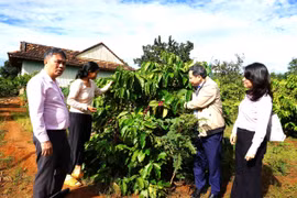 Ðiểm tựa giúp đồng bào dân tộc thiểu số an cư, lập nghiệp