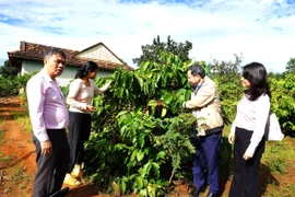 Ðiểm tựa giúp đồng bào dân tộc thiểu số an cư, lập nghiệp