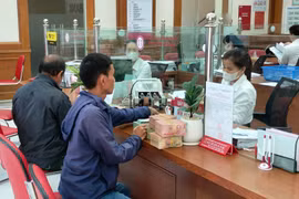 Nhiều khách hàng khu vực nông thôn vay vốn từ các gói tín dụng của Agribank Bình Định. Ảnh: T.Sỹ