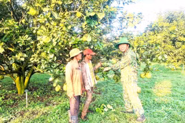 Cựu chiến binh vượt khó làm giàu, lan tỏa nghĩa tình