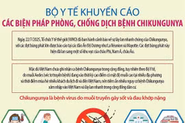 Bộ Y tế khuyến cáo các biện pháp phòng, chống dịch bệnh Chikungunya do muỗi lan truyền