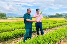 Vượt khó nhờ dòng vốn nghĩa tình