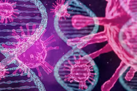 Phát hiện mới về virus bạch cầu mở ra hy vọng điều trị HIV