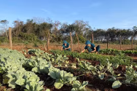 Xanh hóa các chốt dân quân thường trực