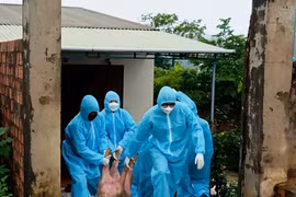 Triển khai quyết liệt các giải pháp phòng-chống bệnh dịch tả heo châu Phi