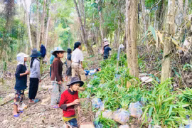 Gia Lai triển khai phòng cháy, chữa cháy rừng mùa khô 2024-2025