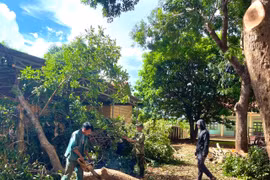 Ra quân xây dựng nông thôn mới tại xã Ia Púch