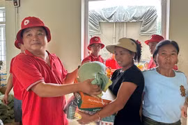 Gia Lai hỗ trợ 6 tỷ đồng giúp các tỉnh bị thiệt hại do bão Bualoi