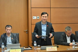 Đại biểu Lê Hoàng Anh tham gia ý kiến về Dự thảo Luật Thương mại điện tử tại buổi thảo luận tổ vào chiều 3-11.