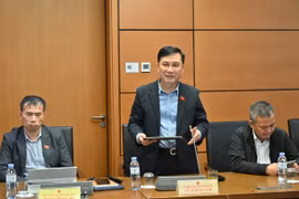 Đại biểu Lê Hoàng Anh tham gia ý kiến về Dự thảo Luật Thương mại điện tử tại buổi thảo luận tổ vào chiều 3-11.