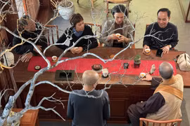 Trải nghiệm trà đạo ở phố Núi 