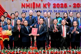 Ủy viên Bộ Chính trị, Trưởng Ban Tuyên giáo và Dân vận Trung ương Nguyễn Trọng Nghĩa trao quyết định cho tân Bí thư Tỉnh ủy Gia Lai Thái Đại Ngọc.
