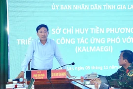 Chủ tịch UBND tỉnh Phạm Anh Tuấn phát biểu chỉ đạo tại cuộc họp trực tuyến triển khai công tác ứng phó bão số 13. Ảnh: Q.T