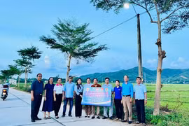 Bàn giao công trình đường điện thắp sáng ở phường Bồng Sơn