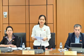 Phó Trưởng đoàn ĐBQH tỉnh Gia Lai Siu Hương đề xuất phải quy định nghiêm cấm lợi dụng danh nghĩa hoạt động nghiệp vụ báo chí để trục lợi.