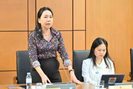 ĐB Lý Tiết Hạnh cho rằng cần có quy định đảm bảo quyền và lợi ích hợp pháp của người dân khi sử dụng ví điện tử.