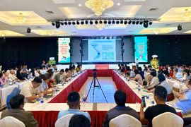 Tìm giải pháp phát triển ngành hàng chanh leo bền vững theo chuỗi liên kết.