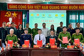 Ký kết các quy chế phối hợp liên ngành trong công tác thi hành án.