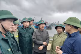 Phó Thủ tướng Chính phủ Trần Hồng Hà (giữa) kiểm tra công tác ứng phó bão số 13 tại khu vực neo đậu tàu thuyền Cảng cá Quy Nhơn.