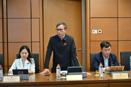 Nguồn bổ nhiệm thẩm phán tại Tòa án chuyên biệt nên bao gồm cả người nước ngoài.