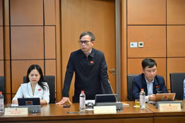 Nguồn bổ nhiệm thẩm phán tại Tòa án chuyên biệt nên bao gồm cả người nước ngoài.