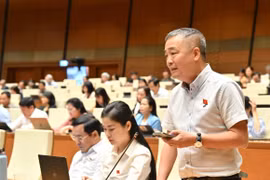 Theo đại biểu Quốc hội Nguyễn Lân Hiếu, rất cần những điều luật cụ thể để bảo vệ rừng hiệu quả, nhất là đối với rừng tự nhiên.