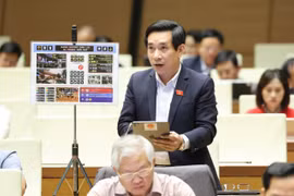 ĐB Nguyễn Văn Cảnh đề xuất một số giải pháp phi công trình nhằm nâng cao chất lượng dịch vụ ở cảng hàng không.