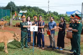 Đại diện lãnh đạo Binh đoàn 15, Đoàn Kinh tế-Quốc phòng 72 và chính quyền địa phương trao bò giống tới người dân. 